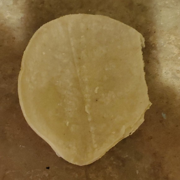 Tortilla - Picture 1 of 2